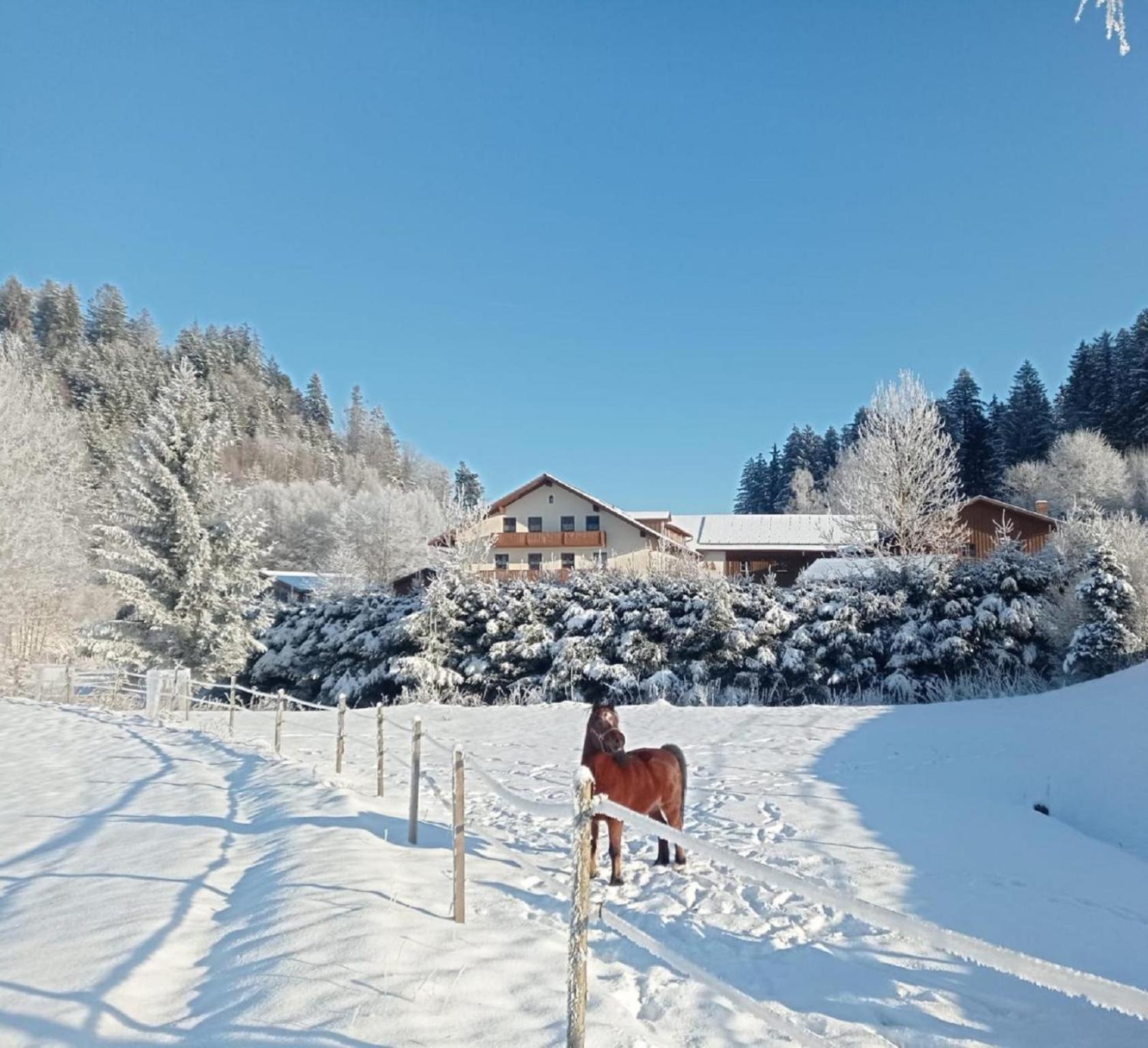 Ferienbauernhof Mehlbach Guest House Kollnburg Bagian luar foto