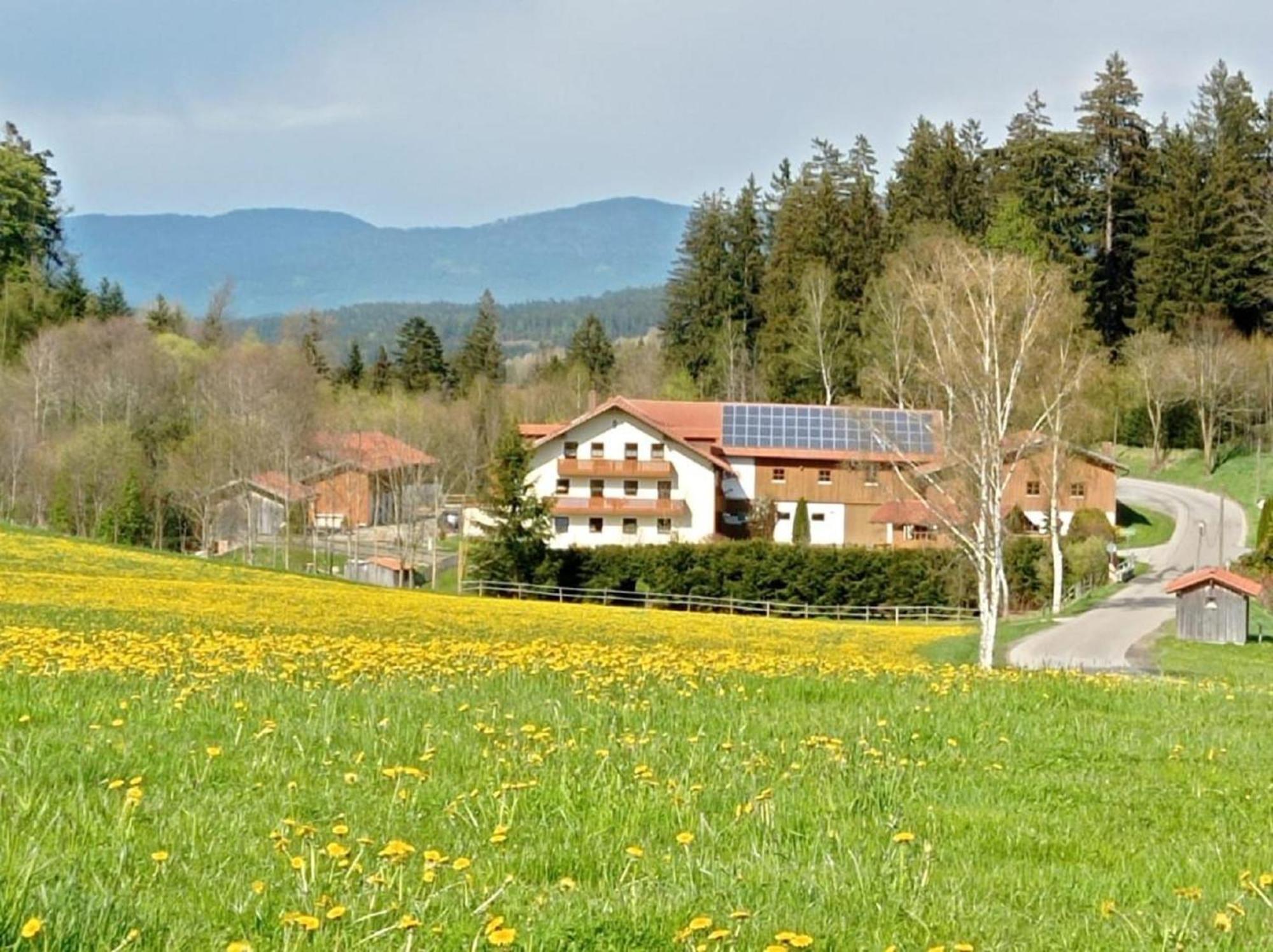 Ferienbauernhof Mehlbach Guest House Kollnburg Bagian luar foto